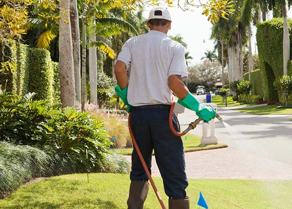 About Waverly KS Pest Control Pros